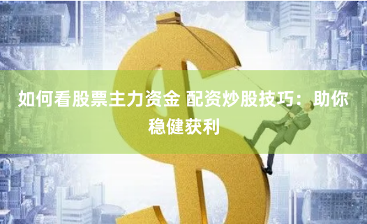 如何看股票主力资金 配资炒股技巧:助你稳健获利