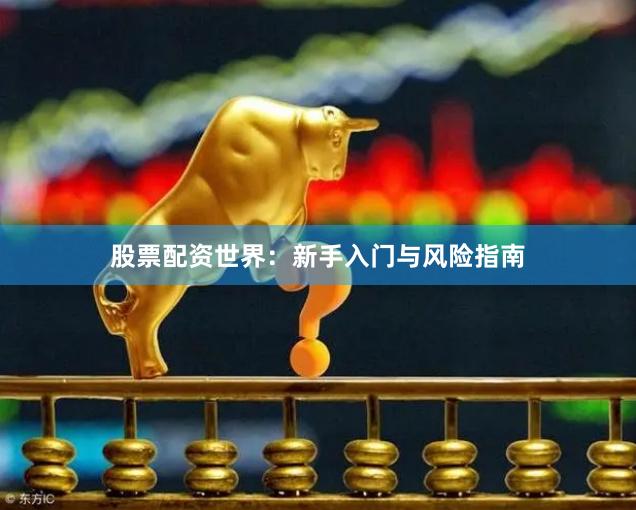 股票配资世界：新手入门与风险指南